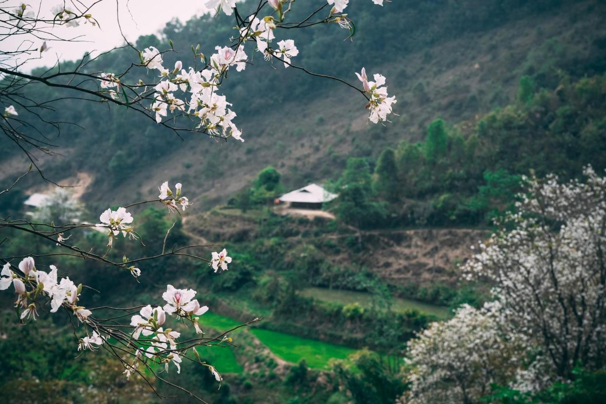 Minh Ngoc Homestay Dien Bien Phu Ban Him Lom Luaran gambar