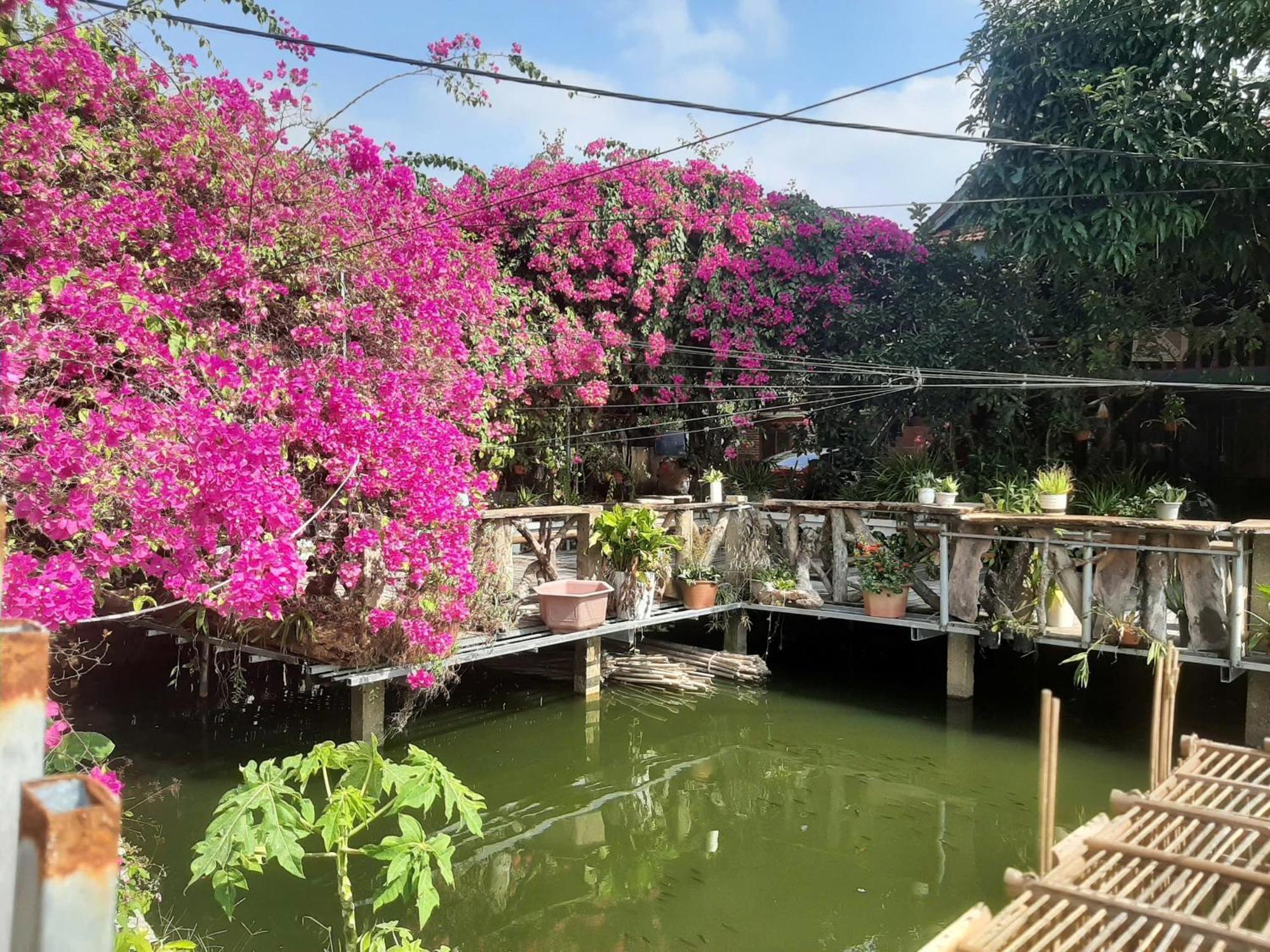 Minh Ngoc Homestay Dien Bien Phu Ban Him Lom Luaran gambar