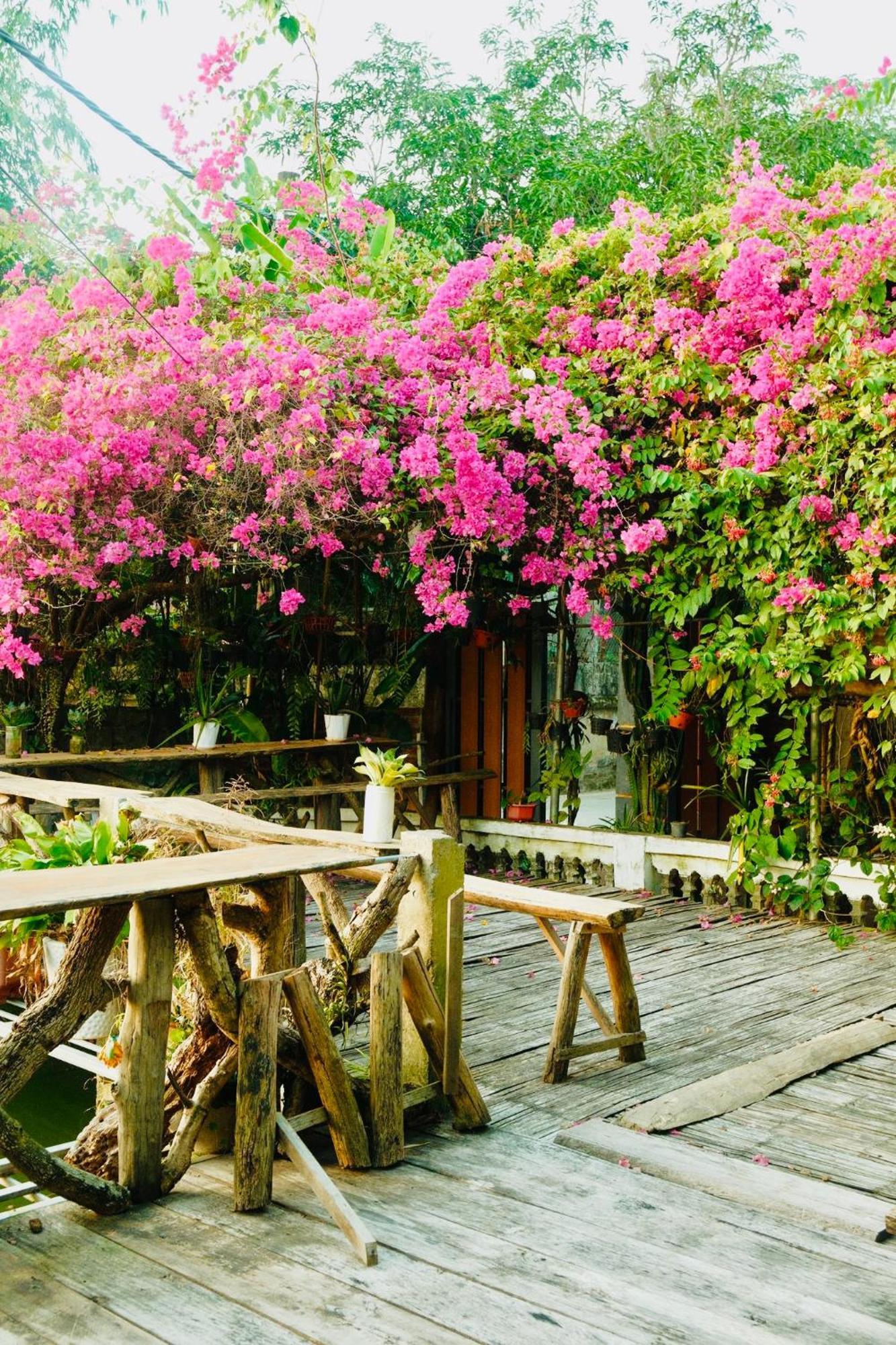 Minh Ngoc Homestay Dien Bien Phu Ban Him Lom Luaran gambar
