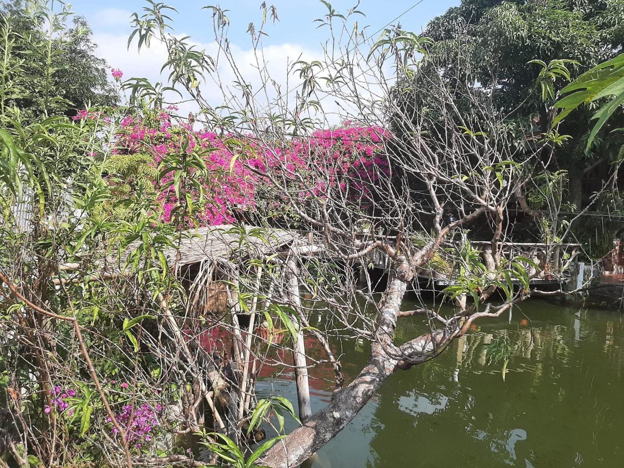 Minh Ngoc Homestay Dien Bien Phu Ban Him Lom Luaran gambar