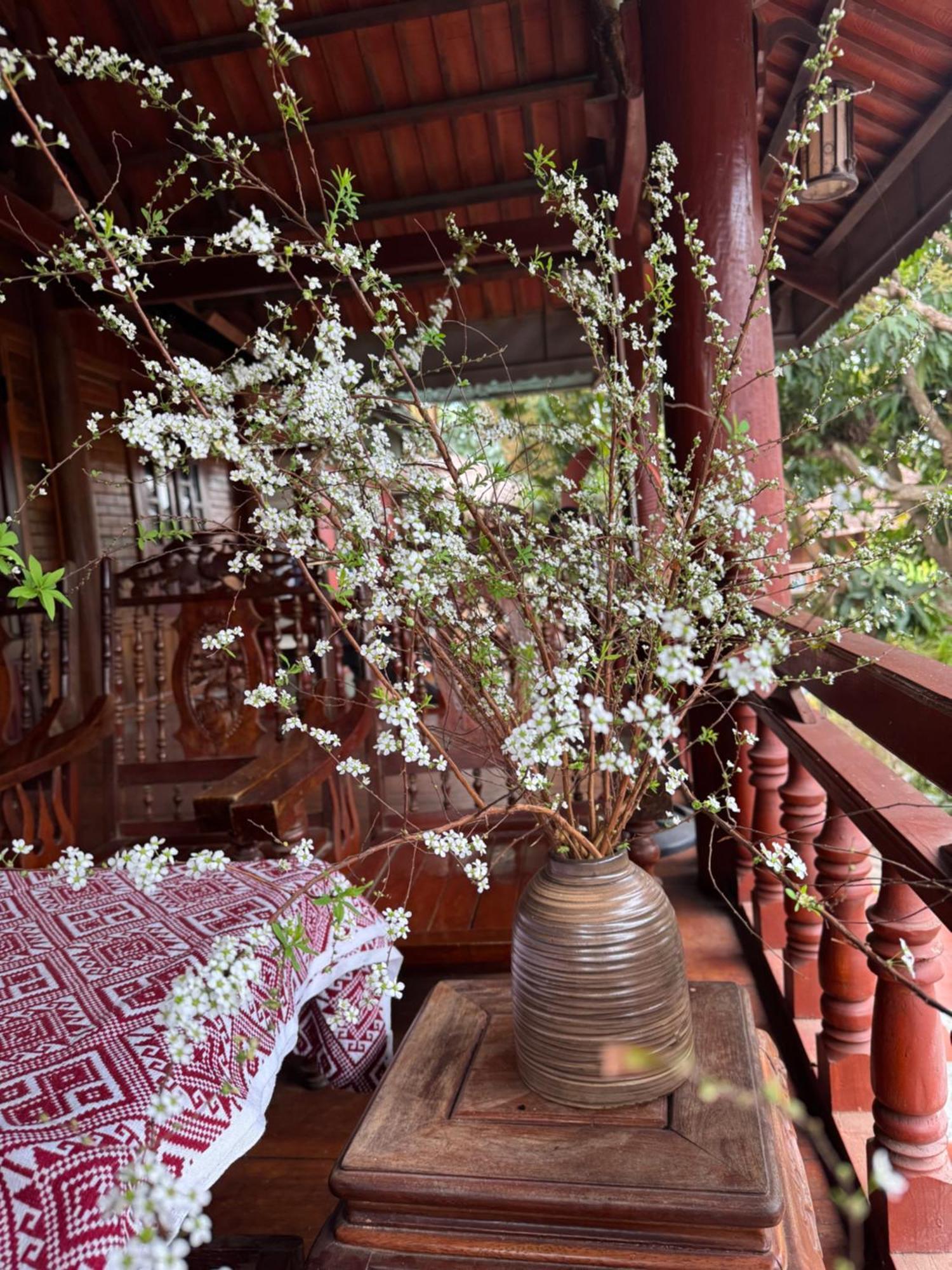 Minh Ngoc Homestay Dien Bien Phu Ban Him Lom Luaran gambar