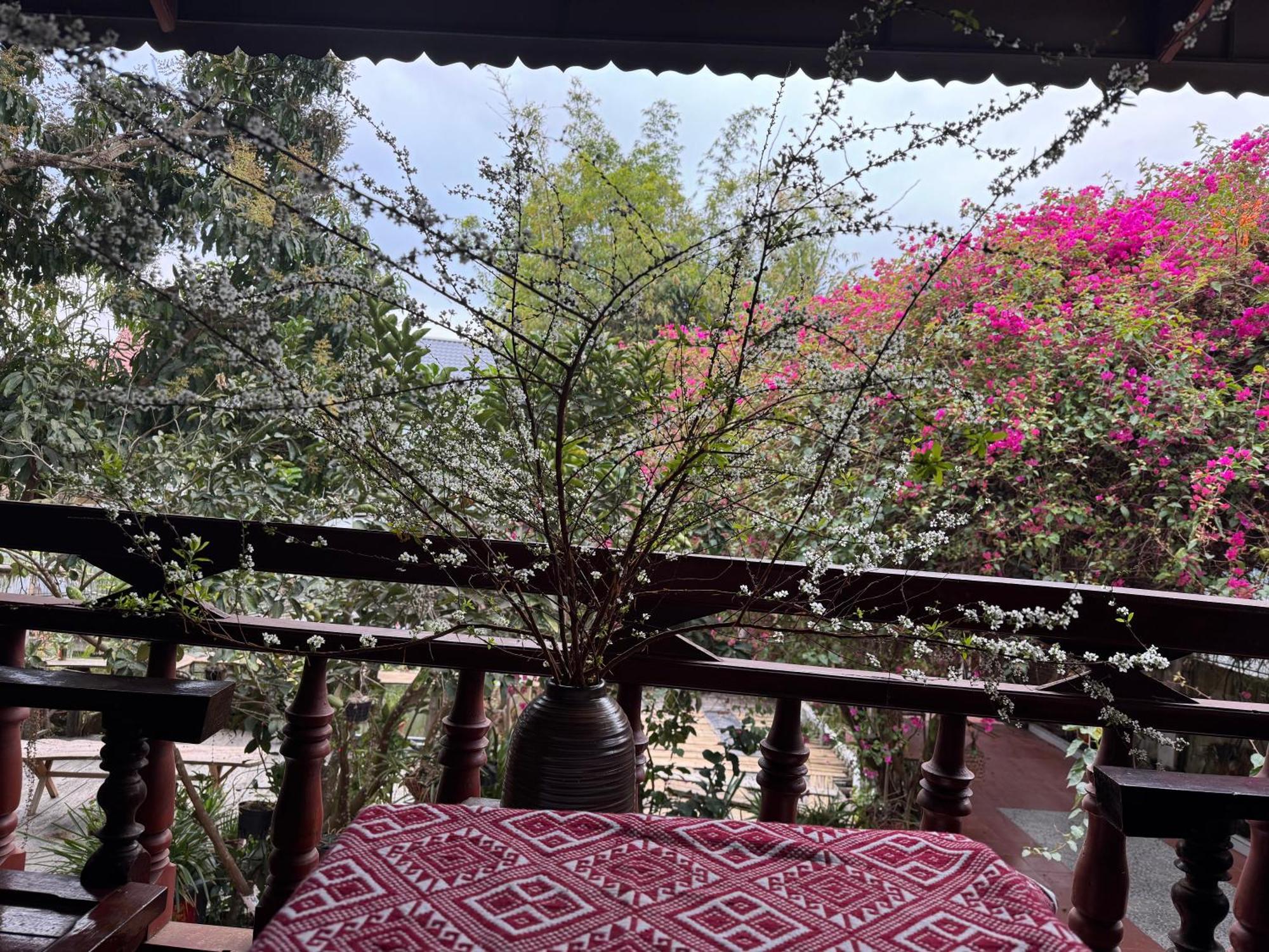 Minh Ngoc Homestay Dien Bien Phu Ban Him Lom Luaran gambar